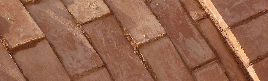 Header Image